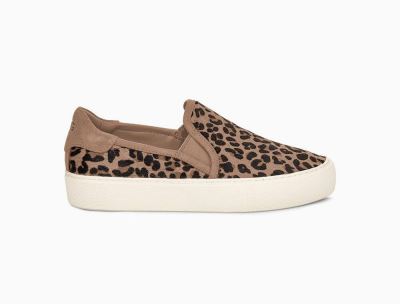 UGG Jass Exotic Womens Sneakers Amphora/ Brown - AU 396KG